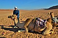 169 Sharqiya sands