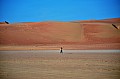 173 Sharqiya sands