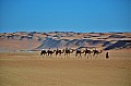 174 Sharqiya sands