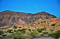 190 Wadi Bani Khalid