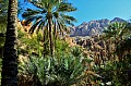 225 Wadi Tiwi