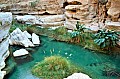 245 Wadi Shab