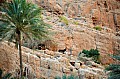 246 Wadi Shab
