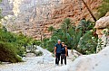 251 Wadi Shab