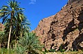 253 Wadi Shab