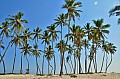 260 Salalah