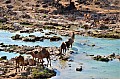 312 Wadi Dharbat
