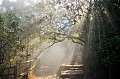 0008 Mpumalanga - God's Window