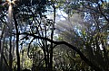 0011 Mpumalanga - God's Window
