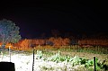 0029 Hazyview