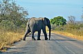 0038 Kruger NP