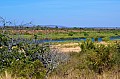 0052 Kruger NP