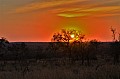 0072 Kruger NP