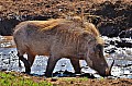 0074 Addo NP