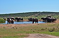 0075 Addo NP