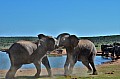 0076 Addo NP