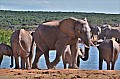 0077 Addo NP