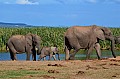 0080 Addo NP