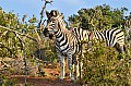 0085 Addo NP