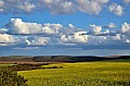 0090 Garden route