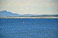 0110 Hermanus