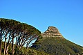 0206 Cape Town