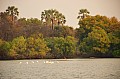 0035 Zambesi river