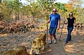 0113 Lion Walk
