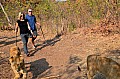 0114 Lion Walk