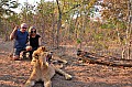 0122 Lion Walk