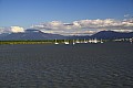 Cairns-0006