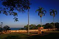 Darwin-0002