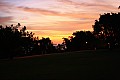 Darwin-0005