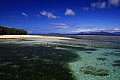 Green Island-0005