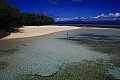 Green Island-0007