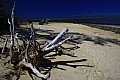 Green Island-0010