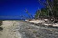 Green Island-0011