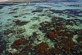 Green Island-0016