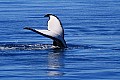 Hervey Bay-0005