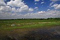 Kakadu N.P.-0003