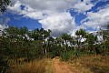 Kakadu N.P.-0010