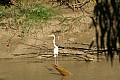 Kakadu N.P.-0013