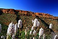 Kings Canyon-0001