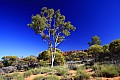 Kings Canyon-0004