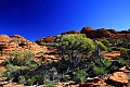 Kings Canyon-0012