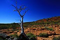 Kings Canyon-0019