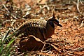 Kings Canyon-0024