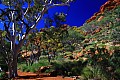 Kings Canyon-0025