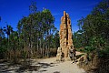 Litchfield Park-0002