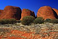 Monti Olgas-0010